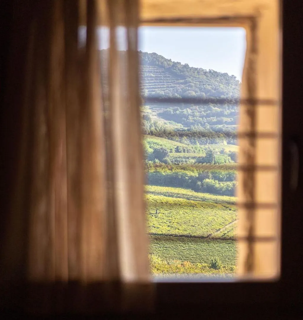 Arcadia Wine Resort Soave  Country house Soave (Verona)